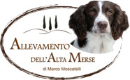 Allevamento dell'Alta Merse